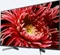 Sony KD-75XG8505 Vorschaubild