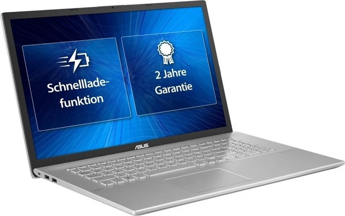 ASUS Business P1701DA-AU366R, Transparent Silver, Ryzen 5 3500U, 4GB RAM, 256GB SSD, DE