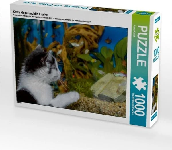 Calvendo Katze Hope und die Fische