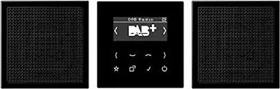 Jung Serie LS Smart Radio DAB+ Set Stereo, schwarz