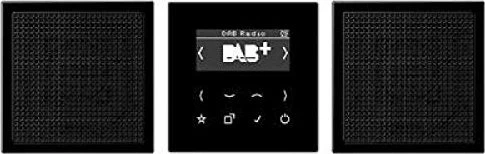 Jung Serie LS Smart Radio DAB+ Set Stereo, schwarz