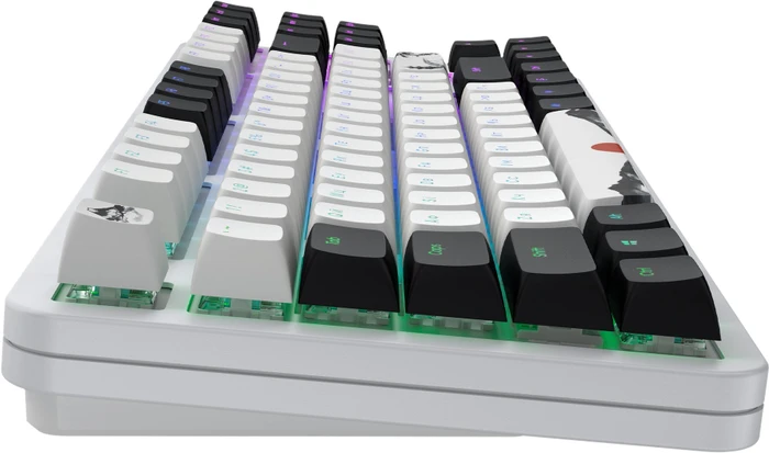 Dark Project ALU87 Fuji II Gaming Keyboard, weiß/schwarz, LEDs RGB, g3ms Sapphire, USB, UA/US