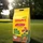 Seramis Pflanz-Granulat für Zimmerpflanzen, 25l (733988)