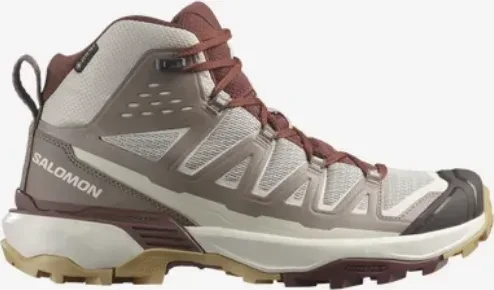 Salomon X Ultra 360 Edge Mid GTX silver cloud/iron/rum raisin (Damen)