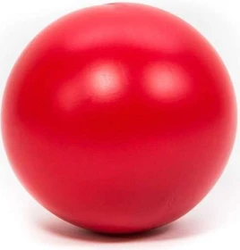 Procyon Treibball, rot