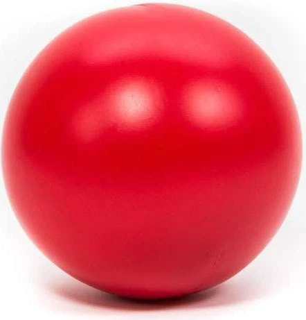 Procyon Treibball, 25cm