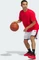 adidas Crazy Lite Trainingshose kurz dash grey/pure ruby (Herren) Vorschaubild