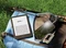 Amazon Kindle Paperwhite 11. Gen, schwarz, 16GB Flash, mit Werbung Vorschaubild
