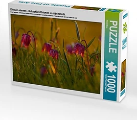 Calvendo Kleine Laternen - Schachbrettblumen im Abendlicht