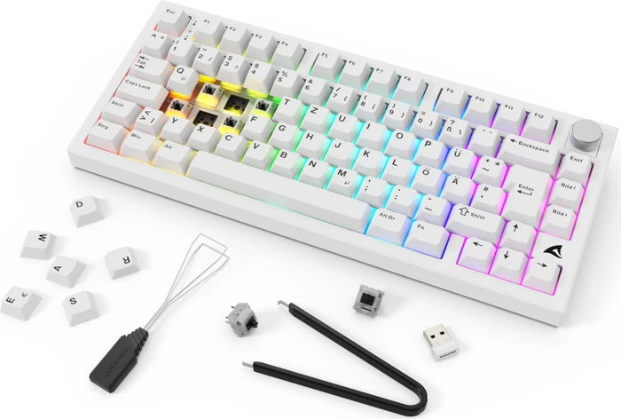 Sharkoon Skiller SGK55W, weiß, LEDs RGB, hot-swap, Sharkoon Linear, USB, DE