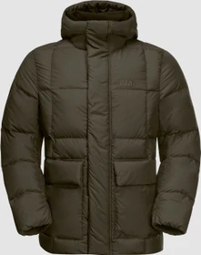 Jack Wolfskin Frozen Lake Funktionsjacke bonsai green (Herren)
