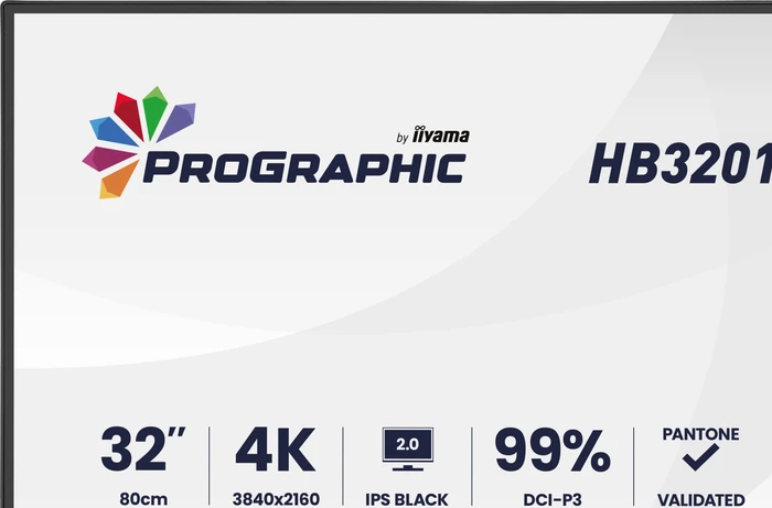 iiyama ProGraphic HB3201UHSNP-B1, 31.5"