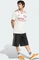 adidas FC Arsenal 2025/2026 Ausweichtrikot kurzarm cloud white/team coll burgundy 2 (Herren) Vorschaubild