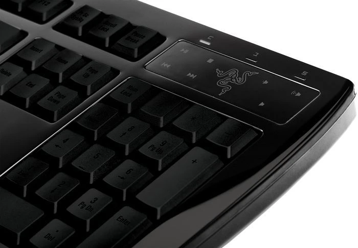 Razer Arctosa schwarz, USB, PL