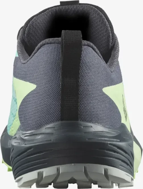 Salomon Sense Ride 5 GTX blue radiance/green ash/india ink (Damen)