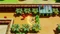 The Legend of Zelda: Link's Awakening - Limited Edition (Switch) Vorschaubild