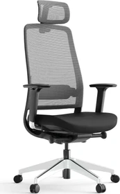 Yaasa Chair Expert Bürostuhl, schwarz