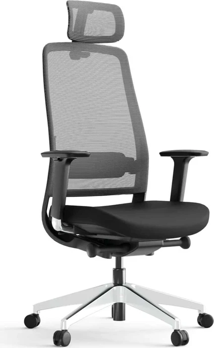 Yaasa Chair Expert Bürostuhl, schwarz