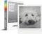 Polaroid 600 Sofortbildfilm Vorschaubild