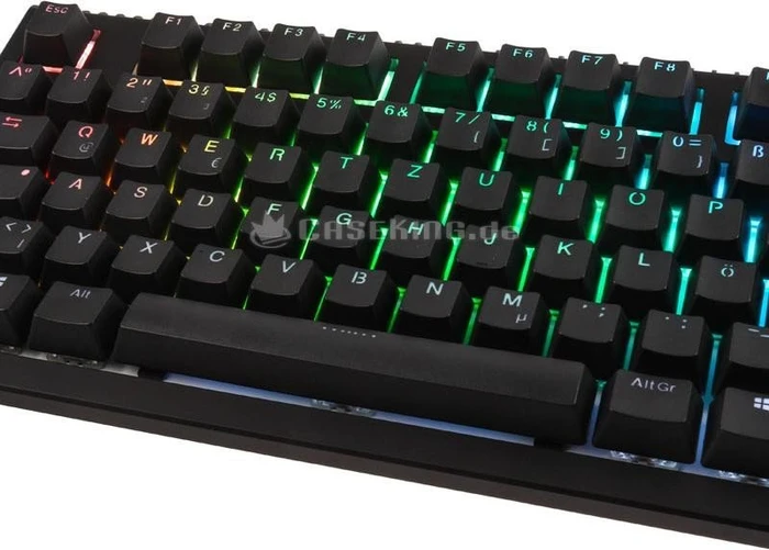 Ducky Shine 6 PBT, LEDs RGB, schwarz, MX SPEED RGB Silver, USB, DE