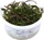 Tropica Wasserpflanze In-Vitro 1-2-Grow! Hygrophila Araguaia (051B TC)