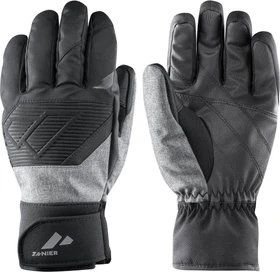 Zanier Planai Skihandschuhe schwarz/silber