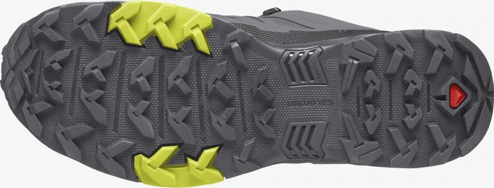 Salomon X Ultra 4 GTX quiet shade/black/evening primrose (Herren)