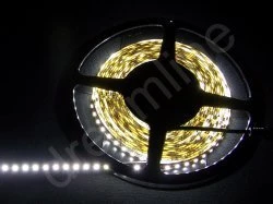 Dreamline LED Stripe 3528 Economy Line tageslichtweiß 500cm (86010)
