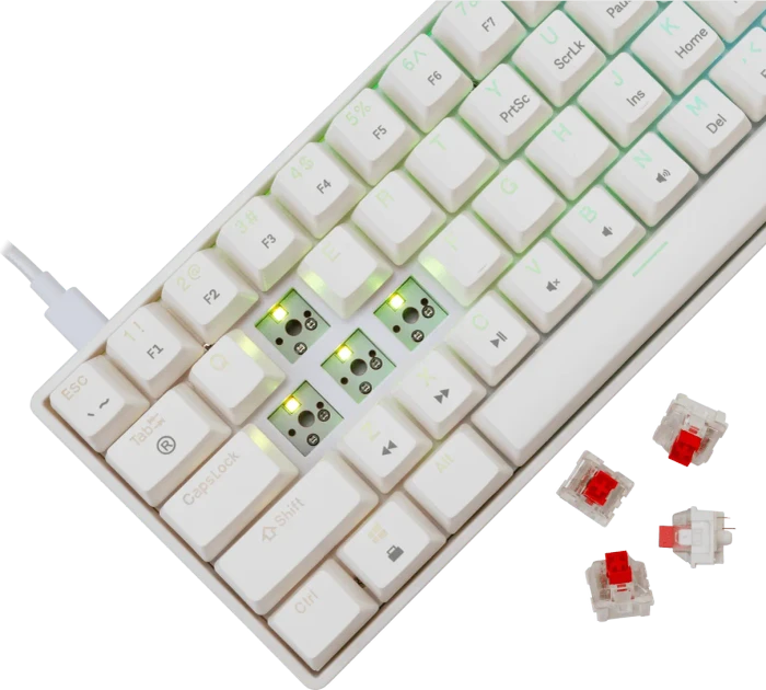 White Shark SHINOBI 2, weiß, LEDs RGB, hot-swap, RED Switches, USB, US