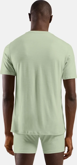 Odlo Natural Merino 160 Baselayer Funktionsshirt kurzarm ambrosia (Herren)