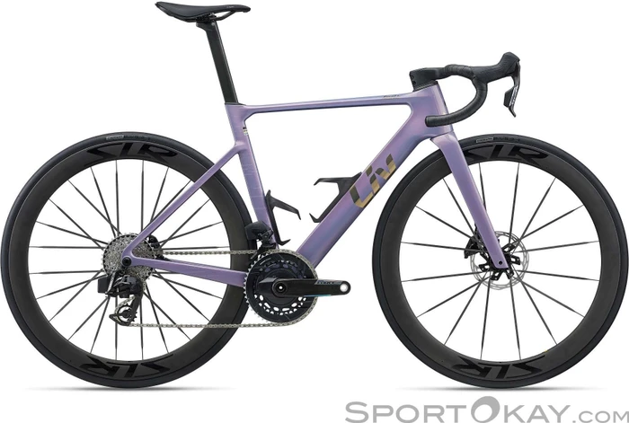 Liv Enviliv Advanced Pro 0 AXS iron rouge Modell 2026