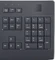 Fujitsu KB951 PalmM2 schwarz, USB, DE Vorschaubild