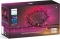 Philips Hue White and Color Ambiance Gradient Festavia Lichterkette 8m LED 100x warmweiß-tageslichtweiß RGBW Vorschaubild