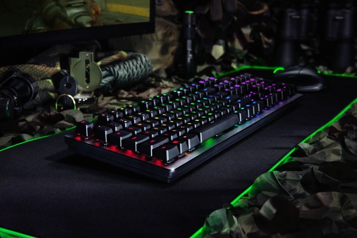 Razer Huntsman, Classic Black, Razer Clicky Optical PURPLE, USB, DE