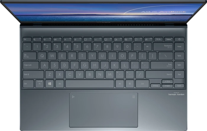 ASUS ZenBook 14 UM425IA-HM062, Pine Grey, Ryzen 5 4500U, 8GB RAM, 512GB SSD, DE