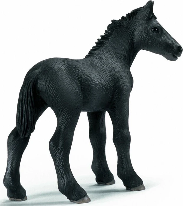 Schleich Horse Club - Percheron Fohlen