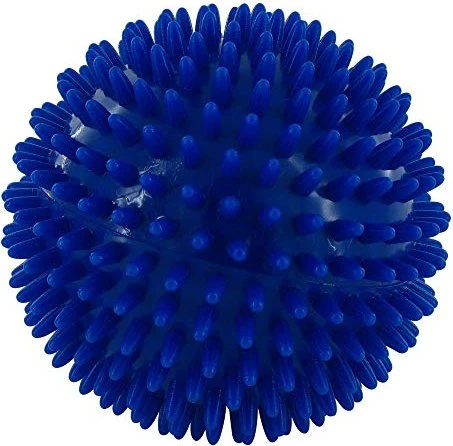 Rehaforum Medical Igelball