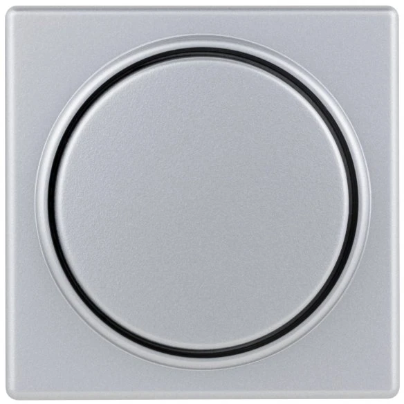 REV Ritter Quadro Abdeckung für Helligkeitsregler, silber