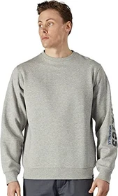 Dickies Okemo Graphic Sweatshirt grey melange (Herren)