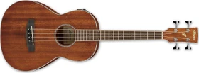Ibanez PNB14E OPN Open Pore Natural