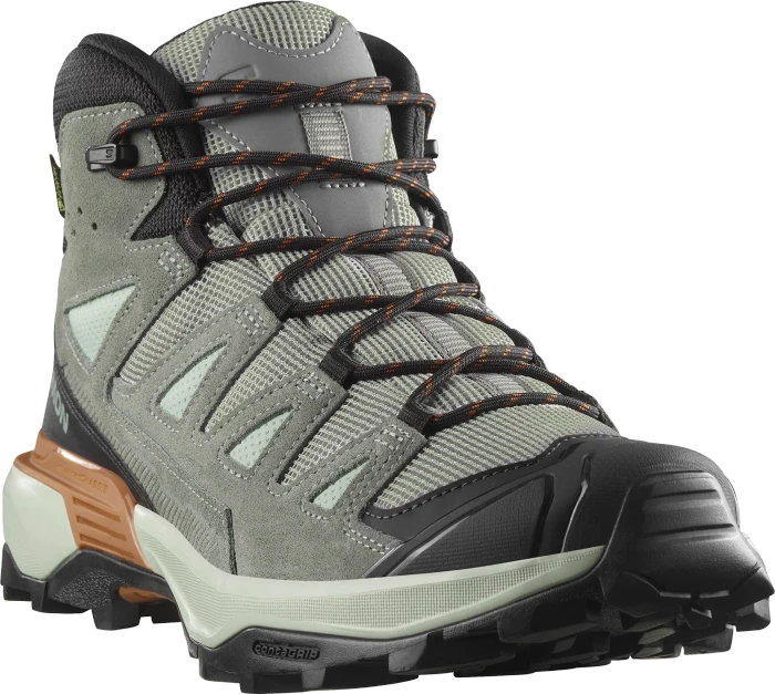 Salomon X Ultra 360 Leather Mid GTX wrought iron/sedona sage/sierra (Herren)