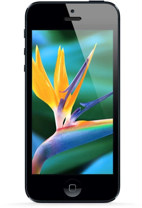 Apple iPhone 5 32GB schwarz