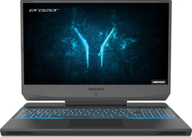 Medion Erazer Deputy P10, Core i7-10750H, 16GB RAM, 1TB SSD, GeForce RTX 2060, DE (MD61803 / 30028882)
