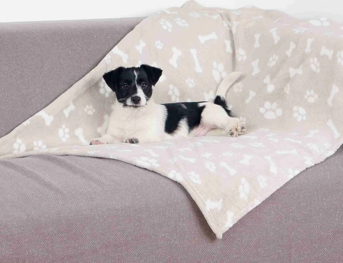 Trixie Decke Kenny, 100x75cm, beige