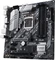 ASUS Prime Z490M-Plus (Intel 1200) Vorschaubild
