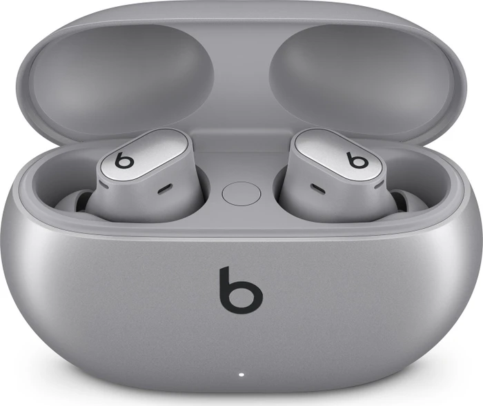 Apple Beats Studio Buds + silber