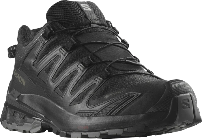 Salomon XA Pro 3D V9 GTX phantom (Damen)