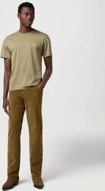 Wrangler Small Graphic T-Shirt kurzarm aloe (Herren)