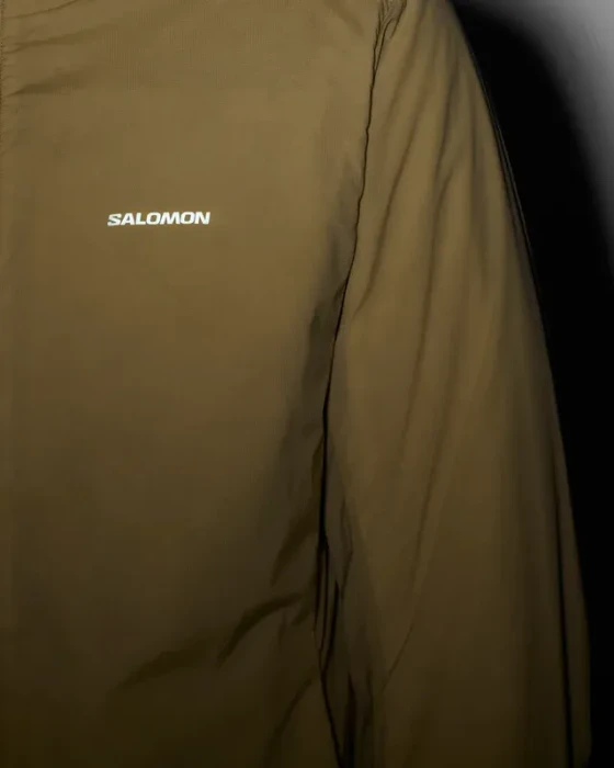 Salomon Mountain Flex Funktionsjacke gray green (Herren)