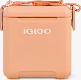 Igloo Tag Along Too Passiv-Kühlbox apricot